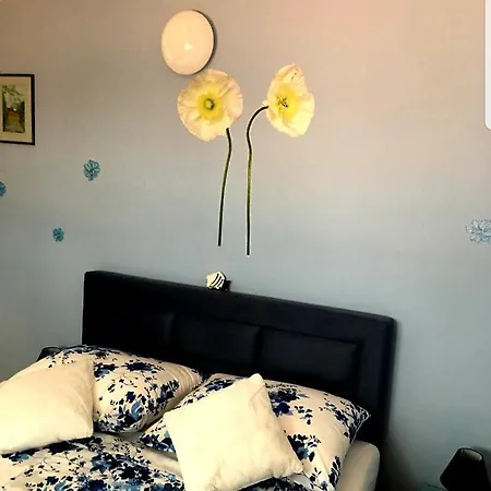 House 4